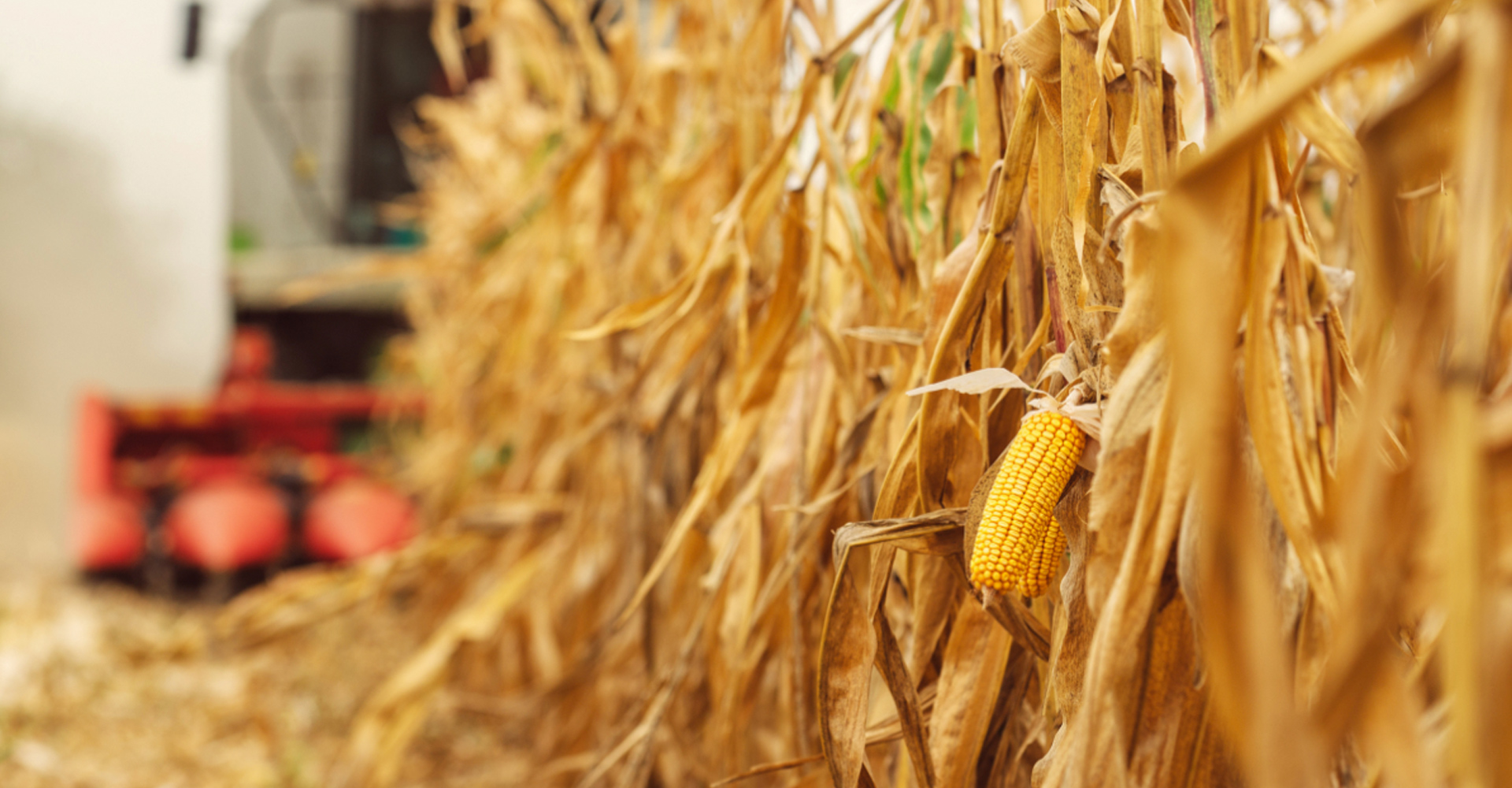 MK官方端网站登录入口